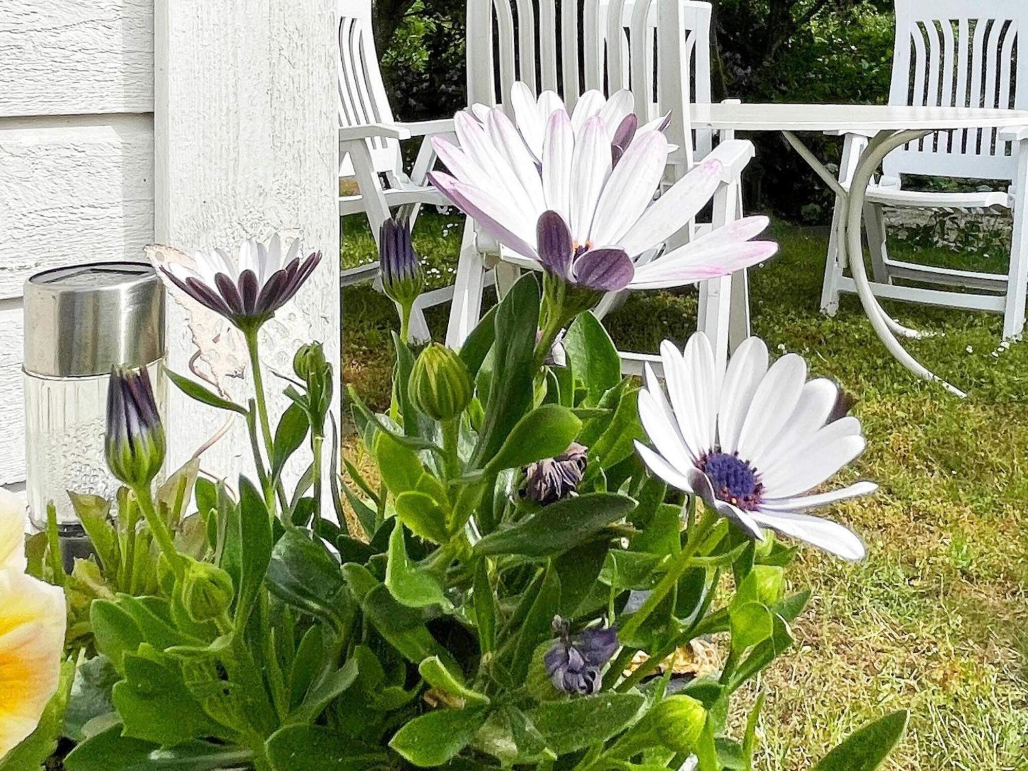 Holiday Home Soelvesborg V Dış mekan fotoğraf